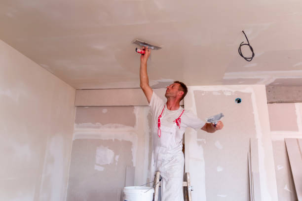 Trusted Lake California, CA Dry wall and painting Experts